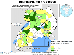 images\UG\cropprod\Uganda_Peanut_preview.png